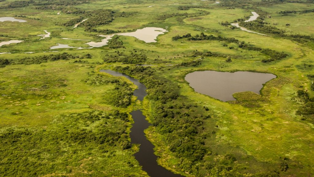 Pantanal & Jaguars