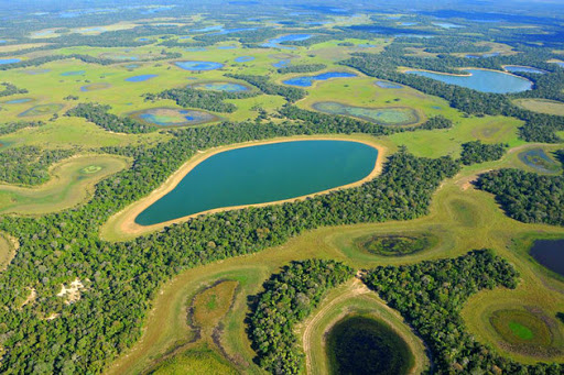 Pantanal Safari