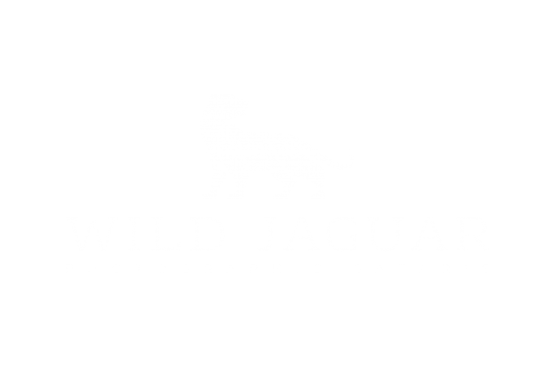 the-best-medical-offerings-blog-brasil-wildjaguar-safaris
