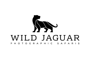 icon jaguar